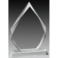 Crystal Arrowhead Award